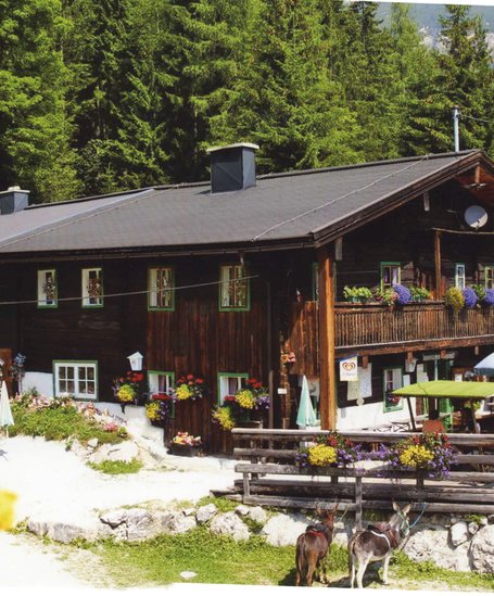 Hut "Jausenstation Fliegenpilz" with sunny terrace | © Fliegenpilz