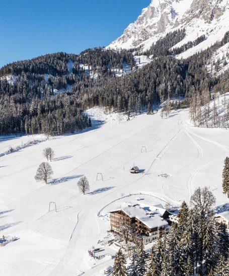 Luftaufnahme vom Feistererlift.