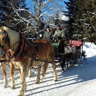 Horse sleigh riding in winter | © Steinbauer