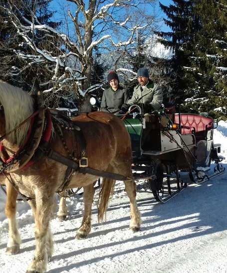 Horse sleigh riding in winter | © Steinbauer