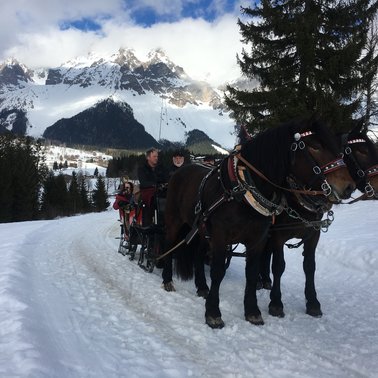 Horse sleigh ride at Vorberghof | © Vorberghof