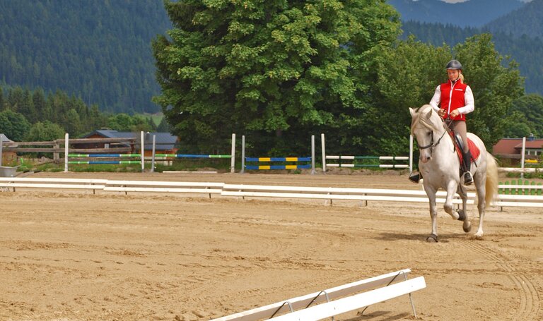 © Reiterhof Brandstätter