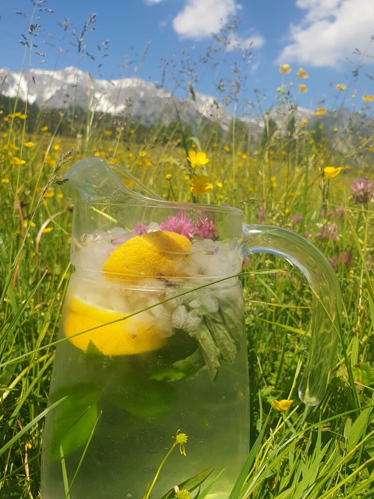 Verena Novak - Nature Elf - Imprese #2.12