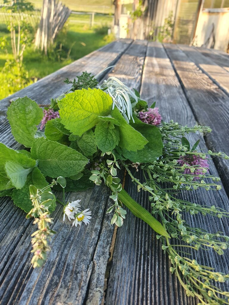 Verena Novak - Nature Elf - Imprese #2.14