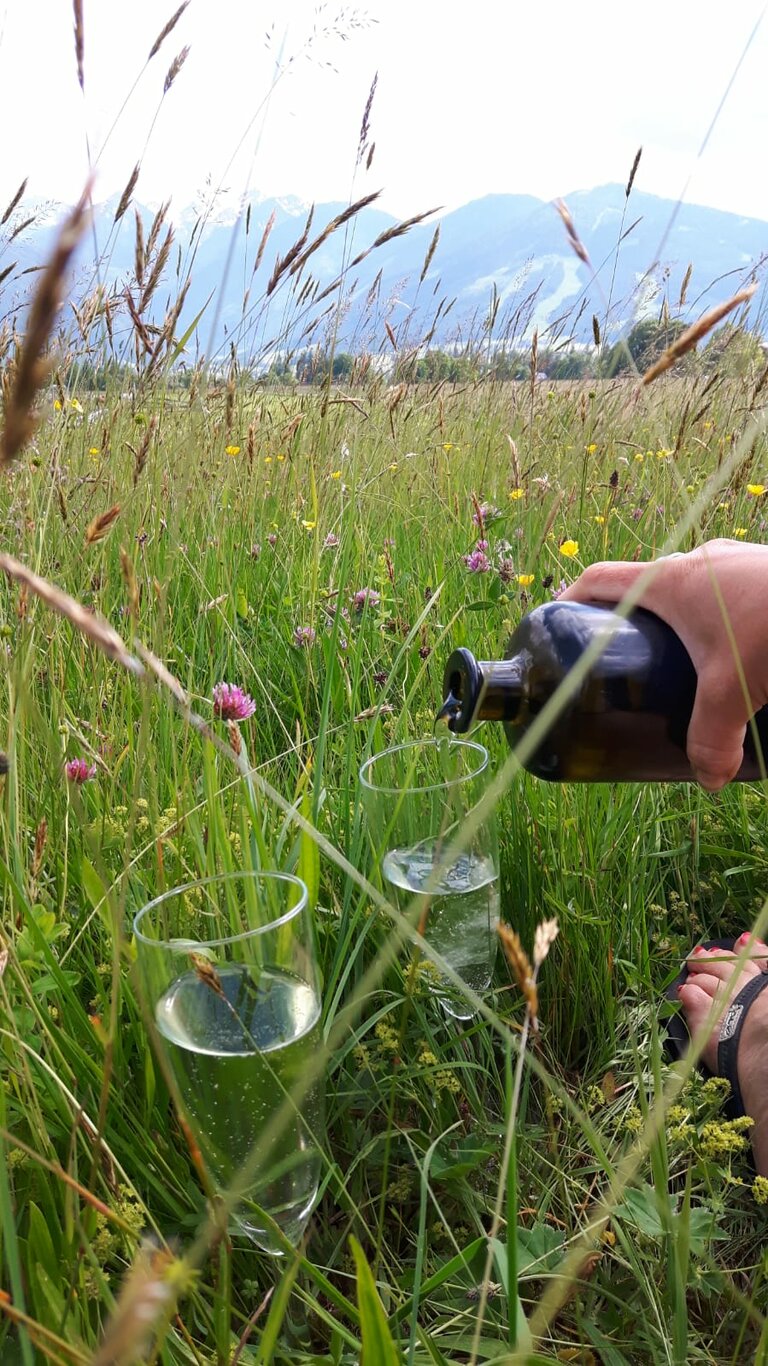 Verena Novak - Nature Elf - Imprese #2.13