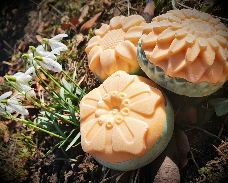 Verena Novak - Nature Elf - Imprese #2.5