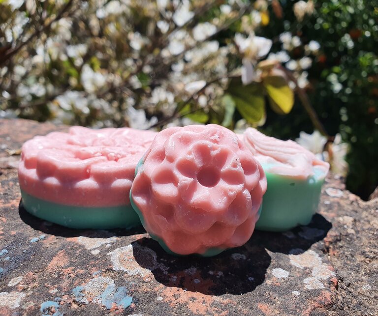 Verena Novak - Nature Elf - Imprese #2.7