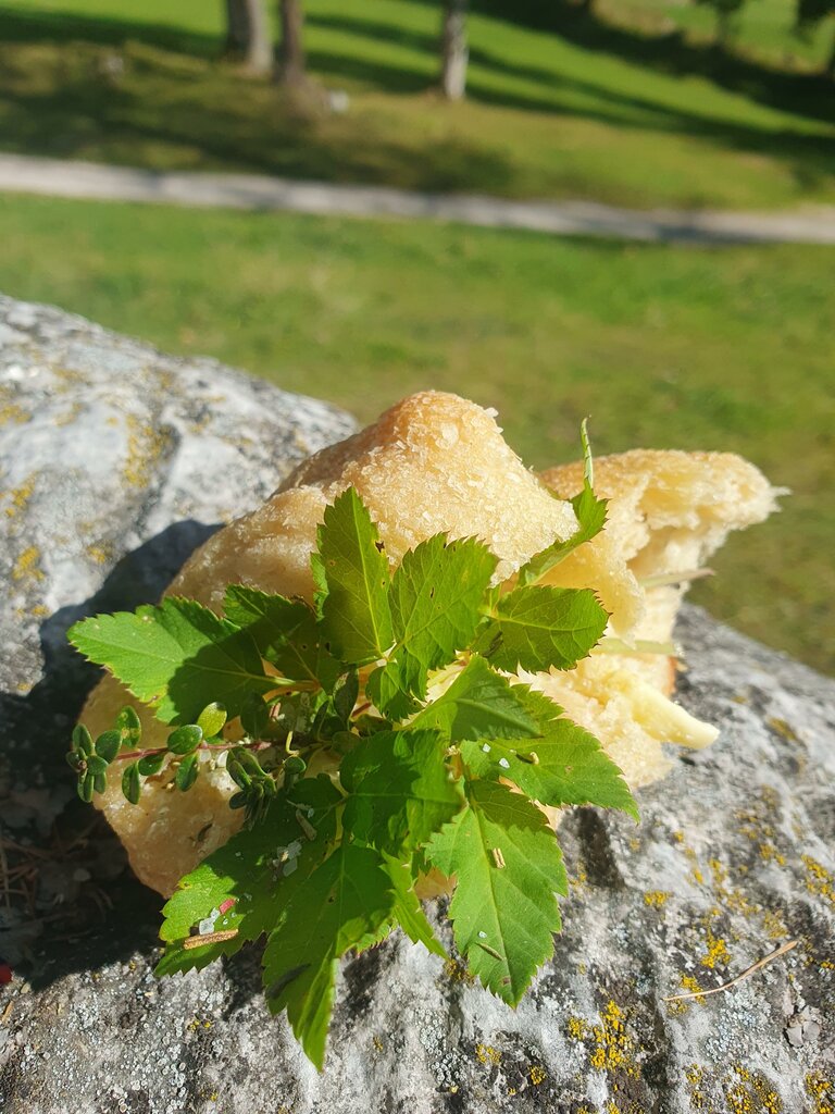 Verena Novak - Nature Elf - Imprese #2.11