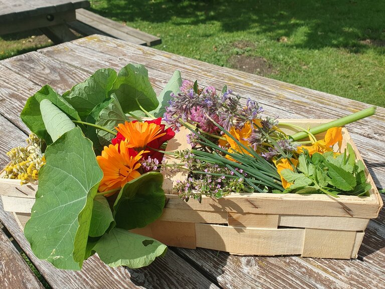 Verena Novak - Nature Elf - Imprese #2.15