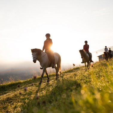 Horse ride at the ranch Seiterhof | © Dominik Steiner