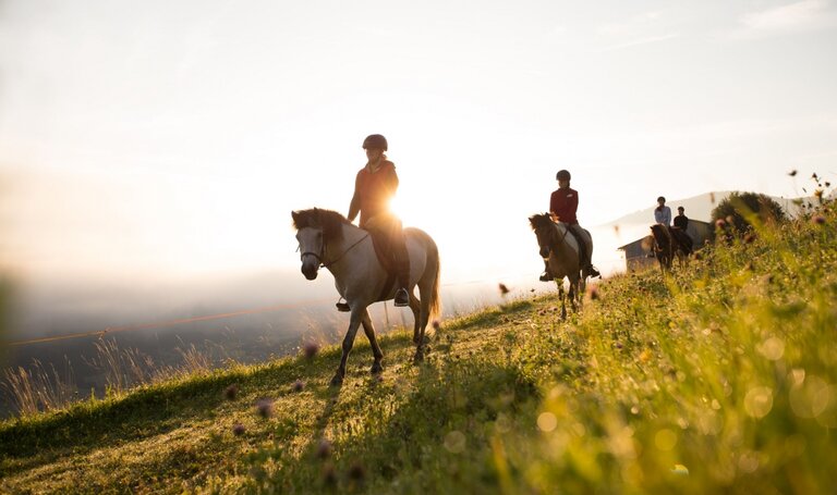 Horse ride at the ranch Seiterhof | © Dominik Steiner