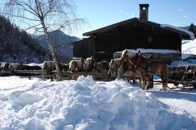 Halseralm - Impression #2.3