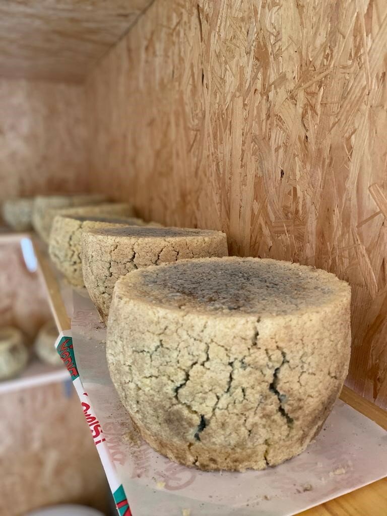 Waldhornalm - Impression #2.4