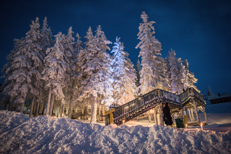 Schafalm Planai - Impression #2.9 | © Christoph Huber