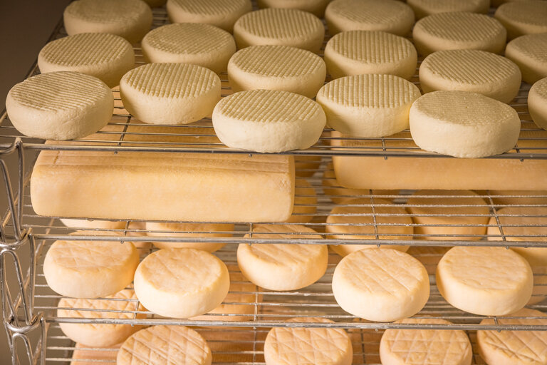 Käseproduktion, Wieslechnerhof | © Netzwerk Kulinarik Wildbild