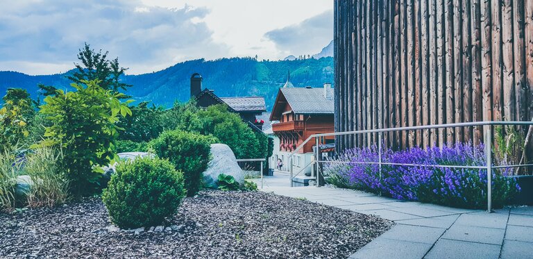 Dr. Viktor Ivanyi  - Impression #2.5