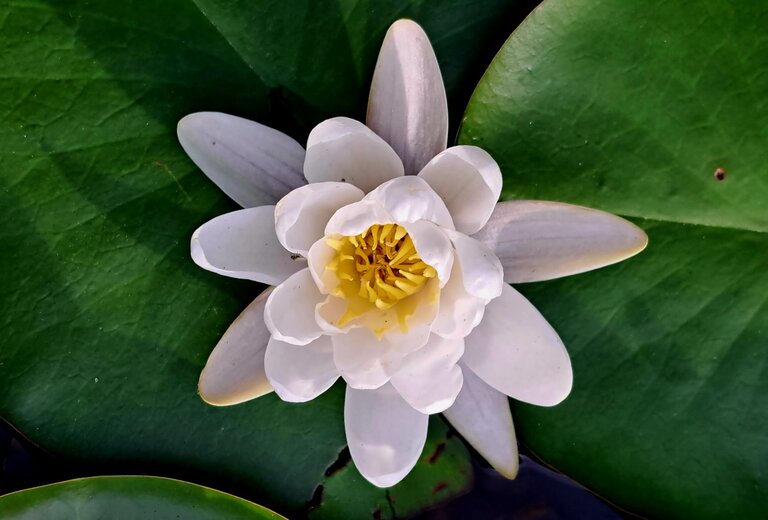 Spechtenseehütte - Impression #2.4