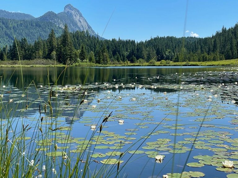 Spechtenseehütte - Impression #2.3