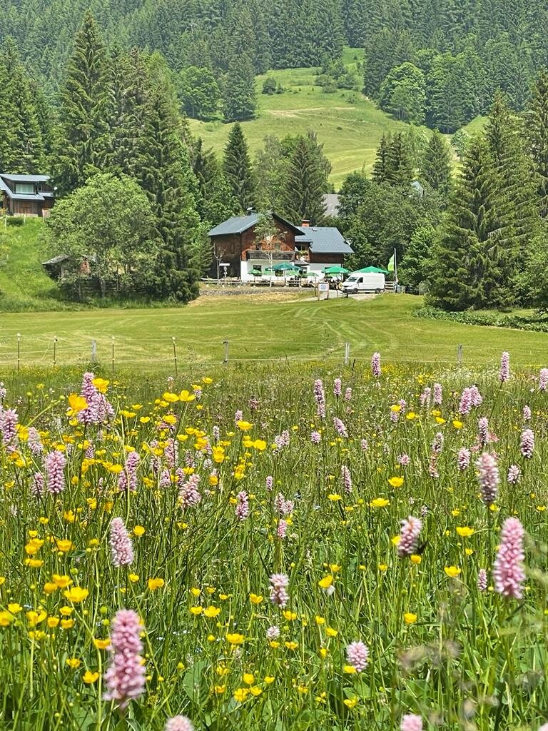 Spechtenseehütte - Impression #2.2