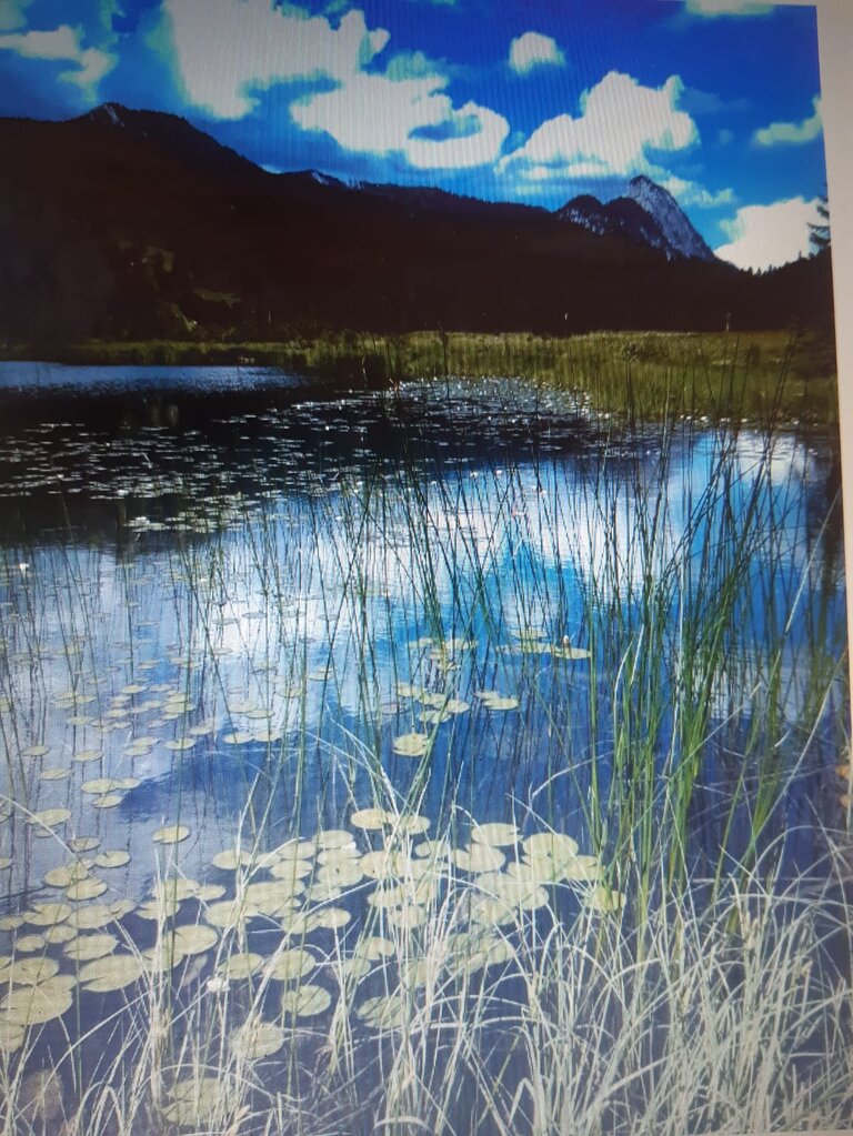 Spechtenseehütte - Impression #2.6