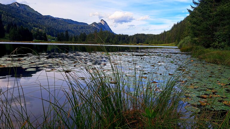 Spechtenseehütte - Impression #2.7