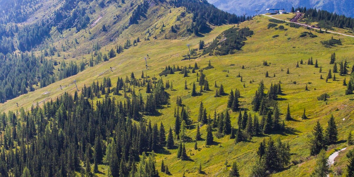 Planai Panorama-Rundweg und der Krahbergzinken im Hintergrund | © Josh Absenger/Erlebnisregion Schladming-Dachstein