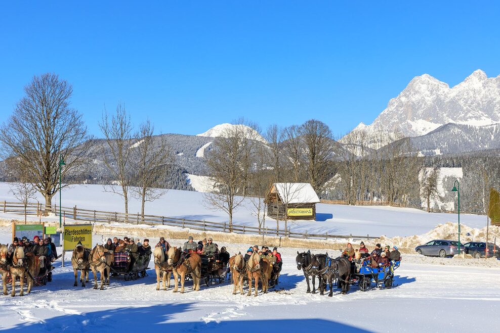 horse-drawn-sleighs at the trail head for snowshoeing & horse-drawn-sleigh rides in Rohrmoos | © Martin Huber/Tourismusverband Schladming - Martin Huber