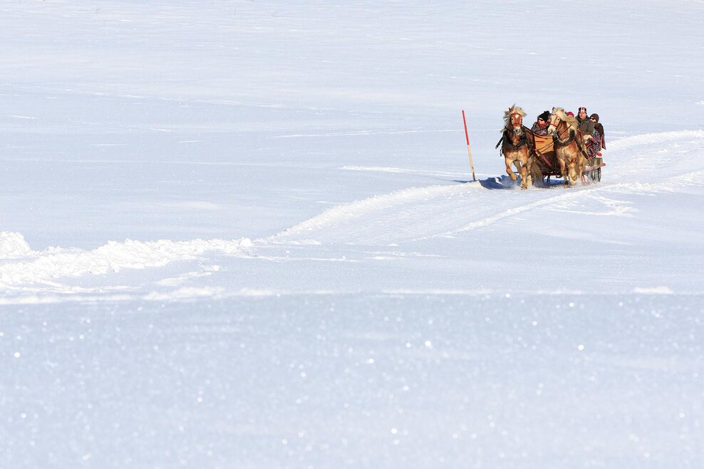 horse-drawn-sleigh tour via Rohrmooser Frei meadows | © Martin Huber/Tourismusverband Schladming - Martin Huber