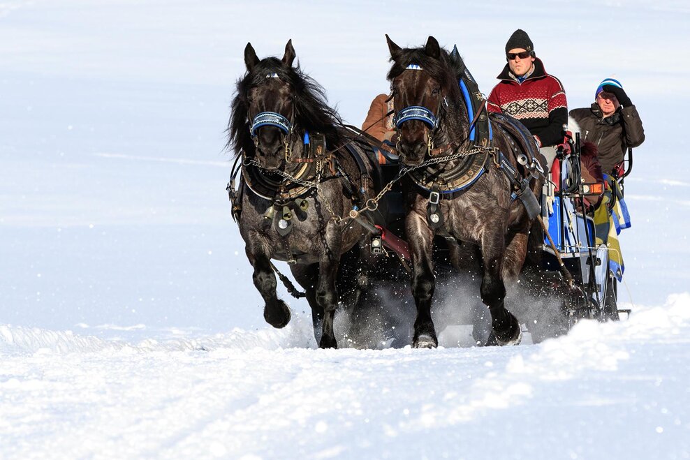 Horse-drawn-sleigh tour to Obertal valley | © Martin Huber/Tourismusverband Schladming - Martin Huber