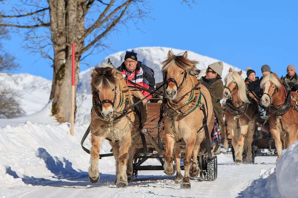 From Rohrmoos to Obertal valley in the horse-drawn sleigh | © Martin Huber/Tourismusverband Schladming - Martin Huber