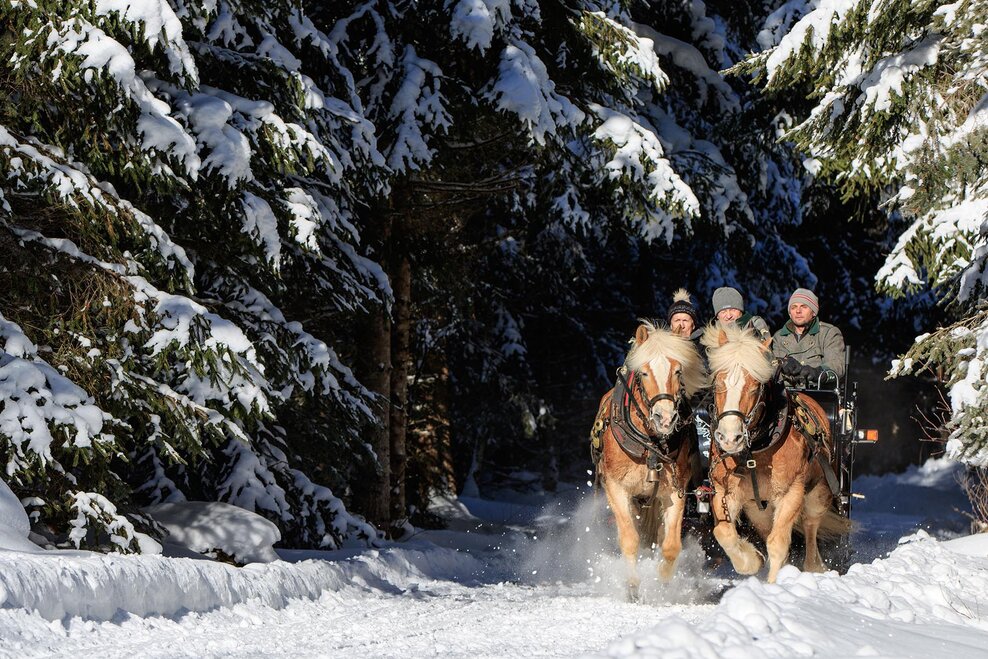 Romantic tour with the horse-drawn-sleigh through forests and over meadows | © Martin Huber/Tourismusverband Schladming - Martin Huber