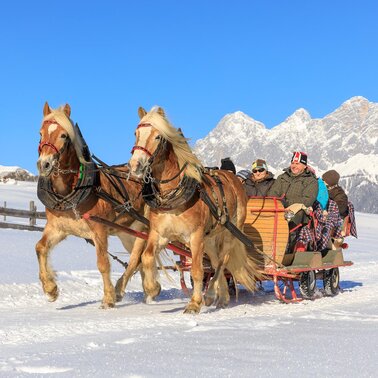 Via the meadows of Rohrmooser Frei in the horse-drawn-sleigh - the Dachstein massif in the backdrop | © Martin Huber/Tourismusverband Schladming - Martin Huber