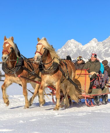 Via the meadows of Rohrmooser Frei in the horse-drawn-sleigh - the Dachstein massif in the backdrop | © Martin Huber/Tourismusverband Schladming - Martin Huber