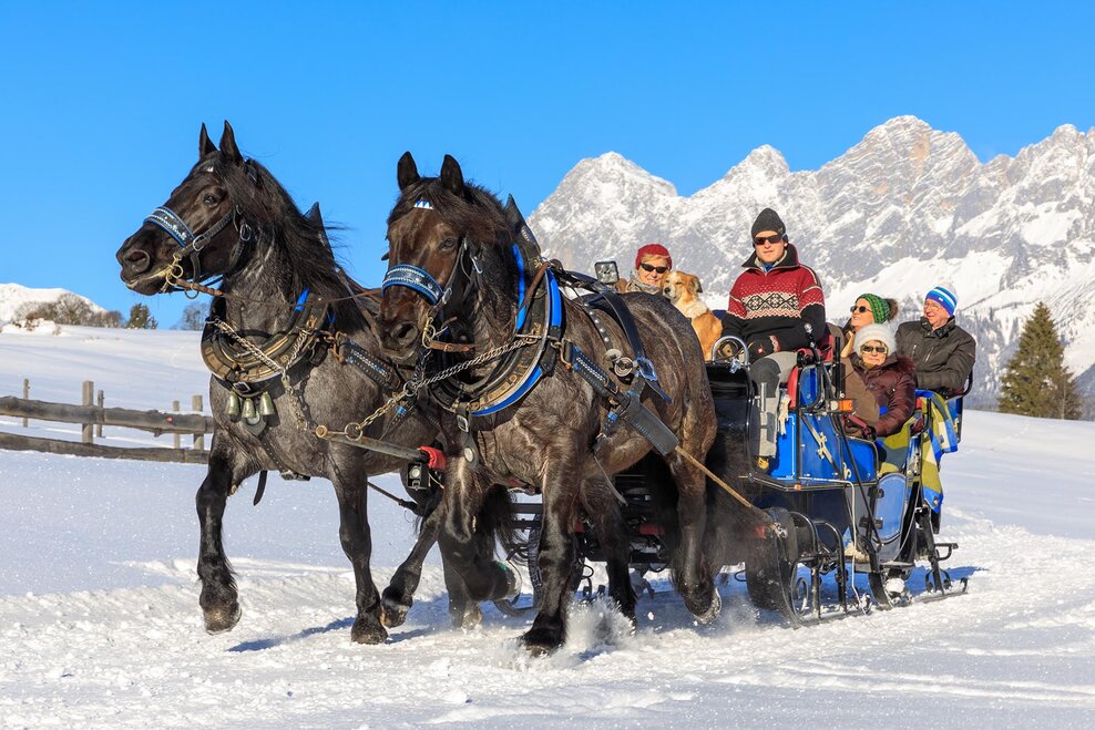 Via the meadows of Rohrmooser Frei in the horse-drawn-sleigh - the Dachstein massif in the backdrop | © Martin Huber/Tourismusverband Schladming - Martin Huber