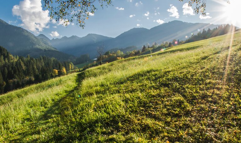 Sunny afternoon at Oberer Talbach Trail | © Gerhard Pilz/Gerhard Pilz - www.gpic.at