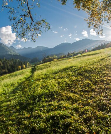 © Gerhard Pilz/Gerhard Pilz - www.gpic.at