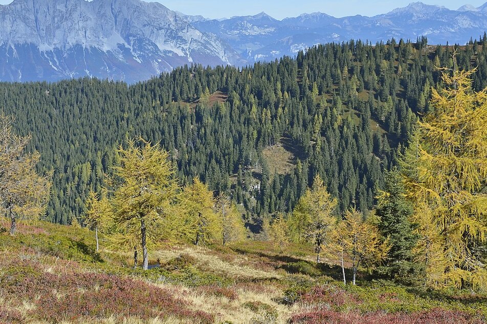 Geological hiking trail 15-24 - Impression #1 | © (c) Herfried Marek/Erlebnisregion Schladming-Dachstein