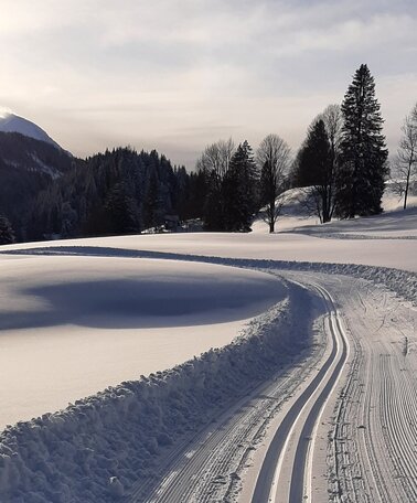Spechtensee XC Trail with the Grimming in the backdrop | © Schachner/Erlebnisregion Schladming-Dachstein