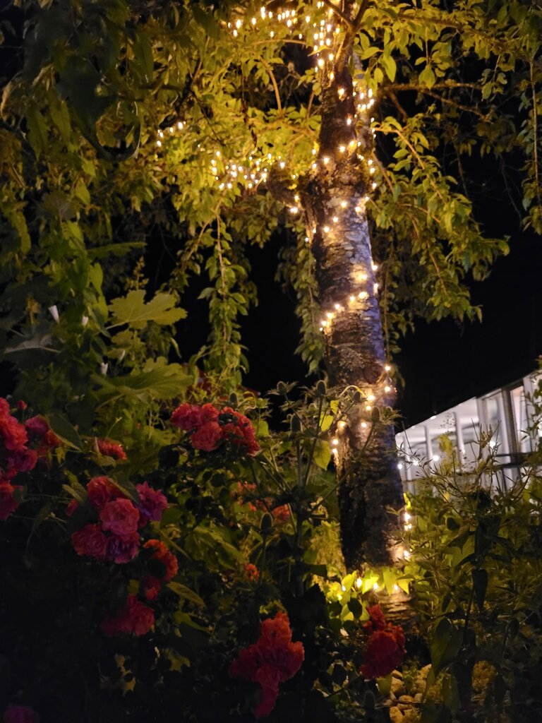 Öblarner Freibad - Impression #2.8 | © Tim Fuchsberger 