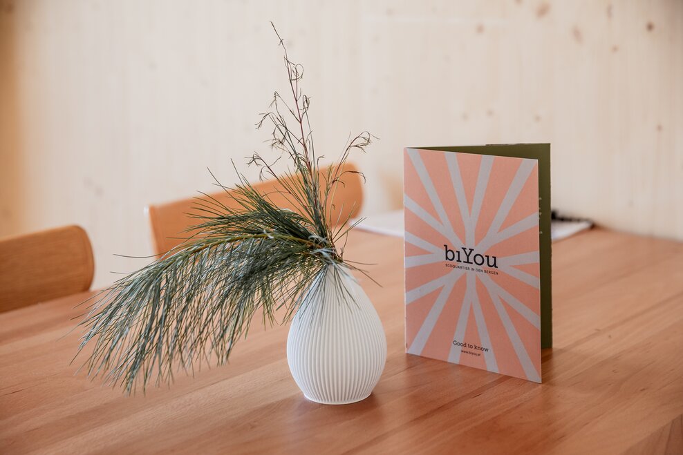 biYou Ecoquartier in den Bergen - Impression #1.2 | © biYou