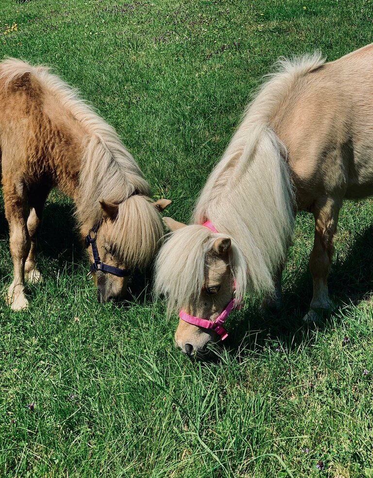 Landhotel Bärenwirt - Impression #2.23 | © baerenwirt.com