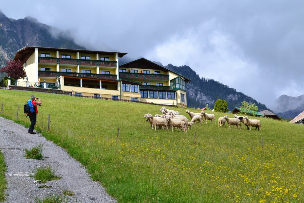 Hotel Martin - Imprese #1.1 | © Hotel Martin