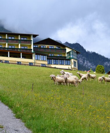 Our Hotel in the summer | © Hotel Martin