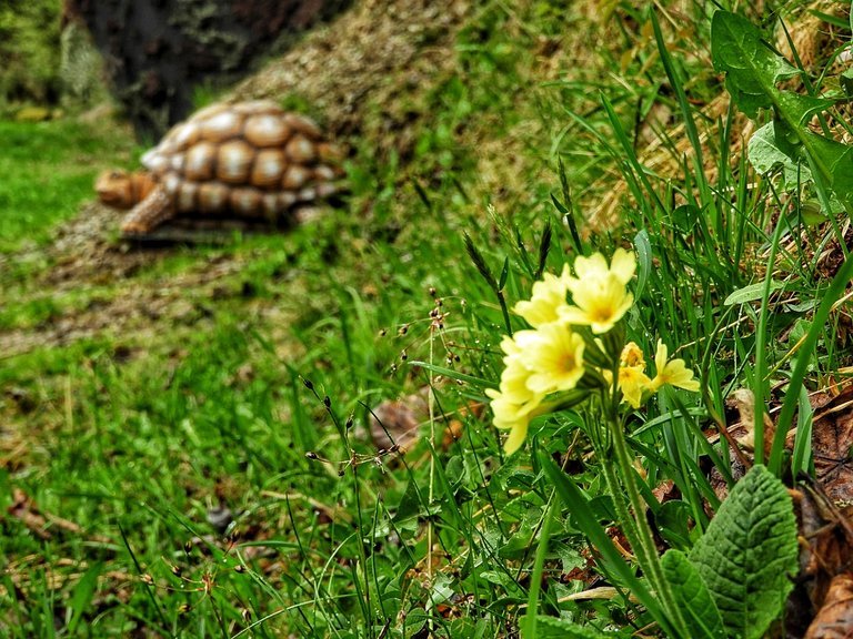 Bogenranch Bruno - Impression #2.14 | © Julia Perhab