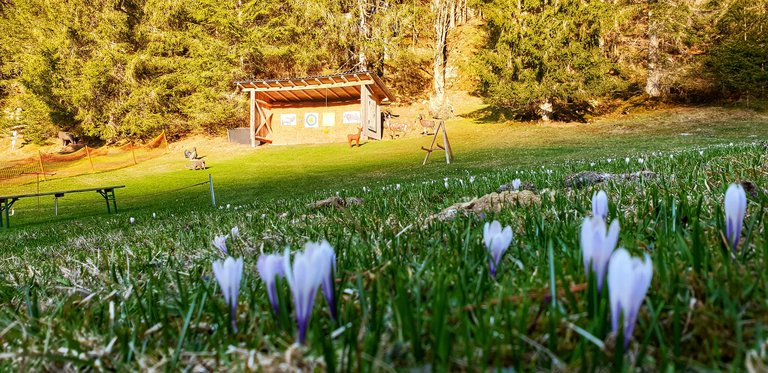 Bogenranch Bruno - Impression #2.10 | © Julia Perhab