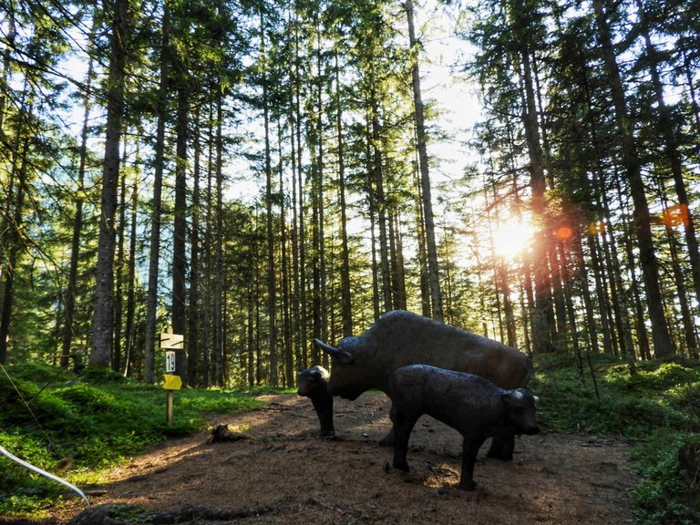 Bogenranch Bruno - Impression #2.11 | © Julia Perhab