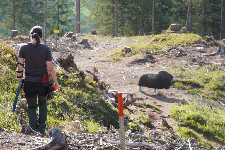 Bogenranch Bruno - Impression #2.20 | © Julia Perhab