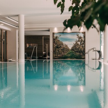 Beheiztes Hallenbad mit großen Fenstern. | © Hotel Schwaigerhof