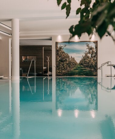 Beheiztes Hallenbad mit großen Fenstern. | © Hotel Schwaigerhof