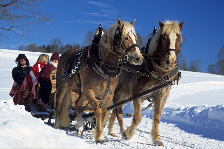 Walcherhof Langlaufstube - Imprese #2.1 | © Walcherhof
